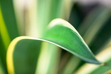 3DM速报:《战地2042》蝉联周销榜 动视暴雪CEO搞不定会考虑离开